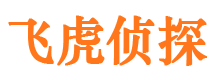 湟中市私人调查